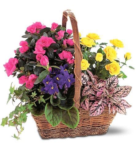 tf191-1 blooming garden basket